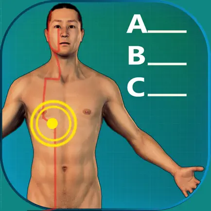 Acupuncture Quiz - Point Locations Cheats