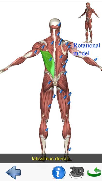 Visual Anatomy Lite