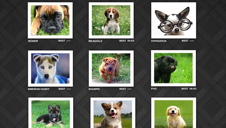 puzzler kids - puppies
