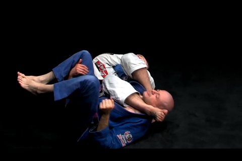 BRAZILIAN JIU-JITSU - Back to basics vol.1 screenshot 3