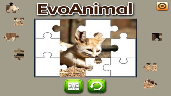 EVO ANIMALのおすすめ画像5