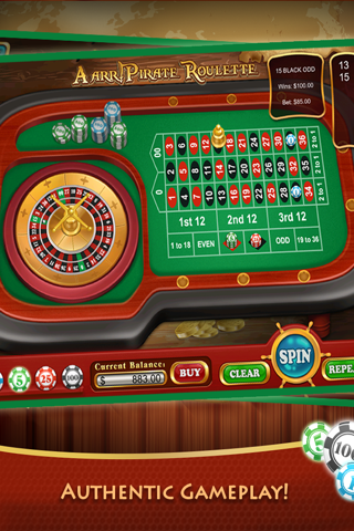 Aarr! Pirate Roulette HD - Master Vegas Style Casino Game Free screenshot 2