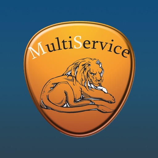 Multiservice icon