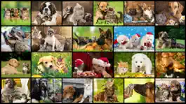 Game screenshot Cute Pets - Real Dogs and Cats Picture Puzzle Games for kids mod apk