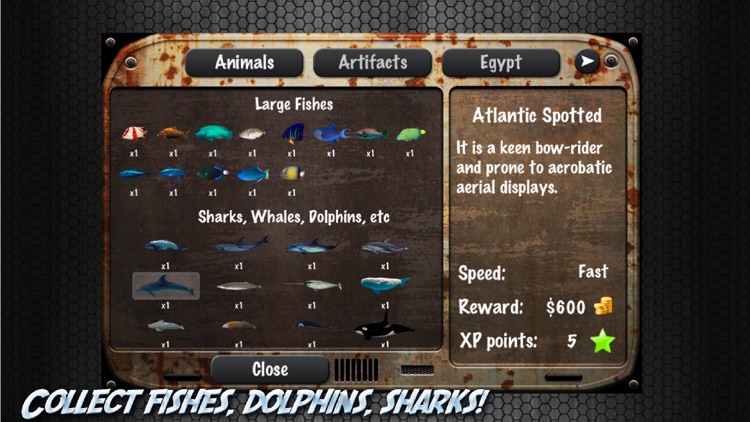 Shark Adventure Free screenshot-4