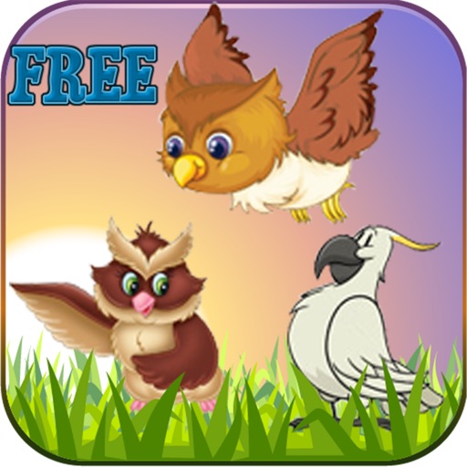 Graden Birds FREE Icon