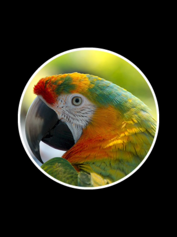 22 Clues iPad screenshot 2 - Games app