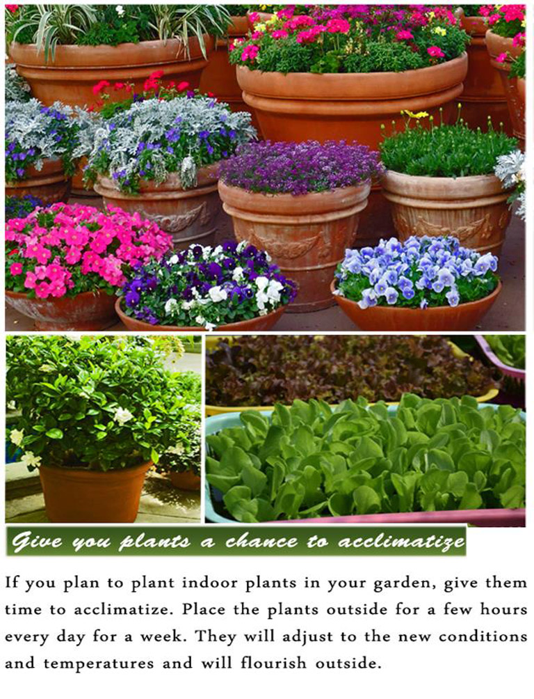 DIY Gardening Tips