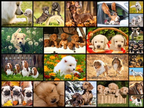 Dog Puzzles - Jigsaw Puzzle Game for Kids with Real Pictures of Cute Puppies and Dogsのおすすめ画像2