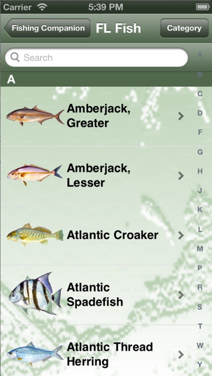 Nc Saltwater Fish Identification Chart