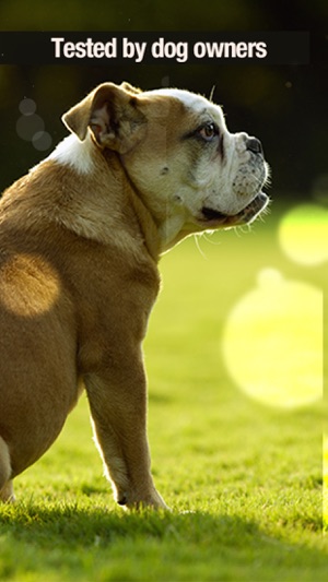 Dog Clicker Training(圖2)-速報App