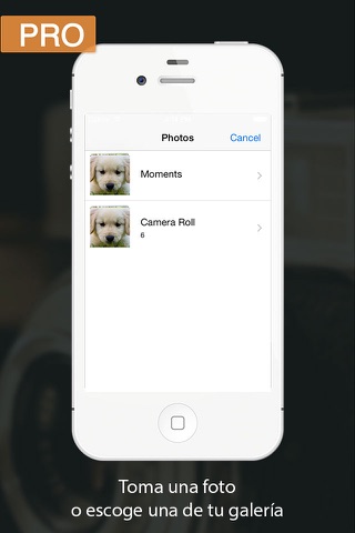 Search for Images Pro: Take a picture and discover what it is screenshot 4