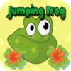 Jumping Frog Puzzle Games