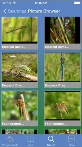 Game screenshot Pocket Guide UK Dragonflies mod apk
