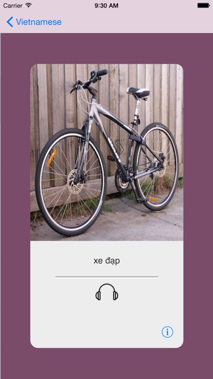 Learning Vietnamese Basic 400 Words screenshot-3