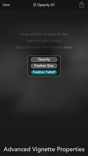 Final Touch - Custom Vignette and Frame Editor(圖2)-速報App