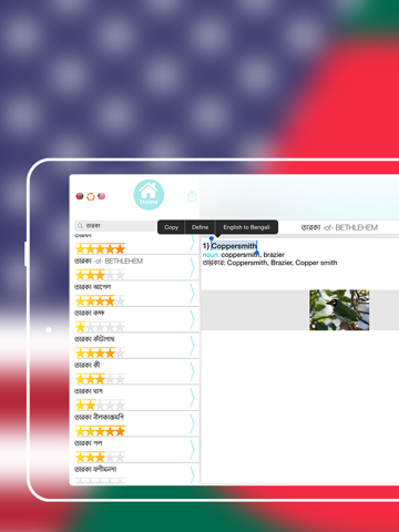 Offline Bengali to English Language Dictionaryのおすすめ画像5