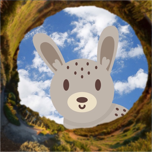 Rabbit Hole iOS App