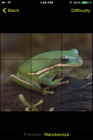 Frog Puzzles Extreme! screenshot 2