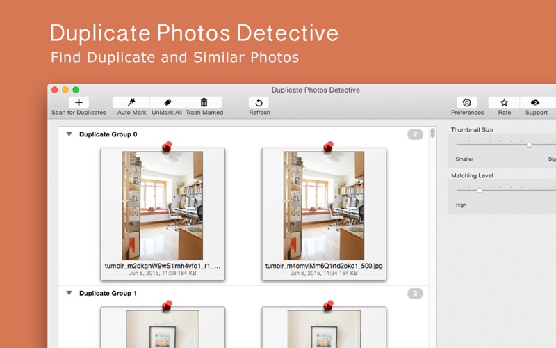 Screenshot #1 pour Duplicate Photos Detective
