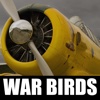 War Birds - Blue Victory -