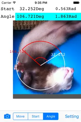 Game screenshot Photo Protractor mod apk