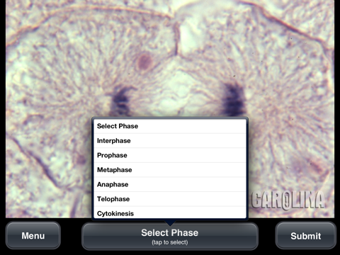 Screenshot #6 pour Animal Histology Free