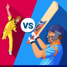 Activities of Multiplayer Cricket Live