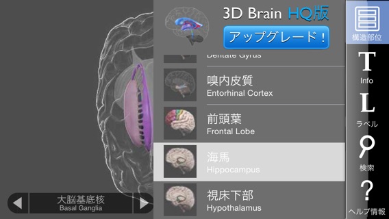 3D Brainのおすすめ画像4