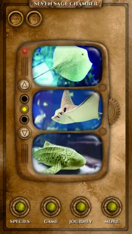 Game screenshot The Lost Chambers Aquarium apk