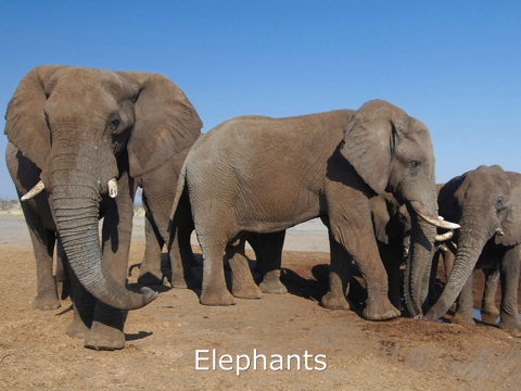 Sound Touch for Kids Lite iPad screenshot 4 - Education app