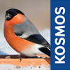 Vögel füttern und erkennen - Franckh-Kosmos Verlags-GmbH & Co. KG