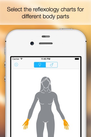 Massage Maps • Reflexology screenshot 2