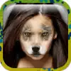 Animal face - Safari at Home App Feedback