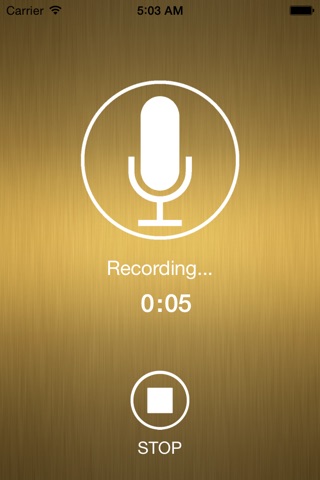 Voice Effects screenshot 4