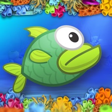 Activities of Flappy The Fish