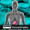 Learn Hepatitis and Diabetes by GoLearningBus