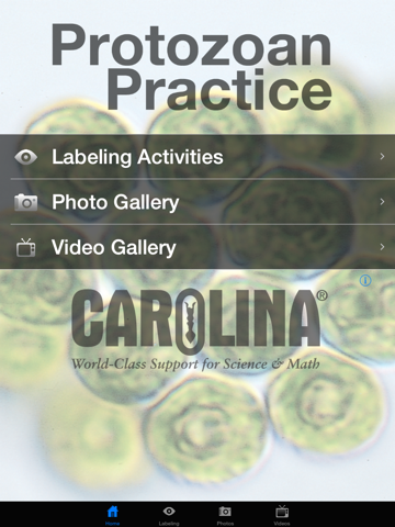 Screenshot #4 pour Protozoan Identification Free
