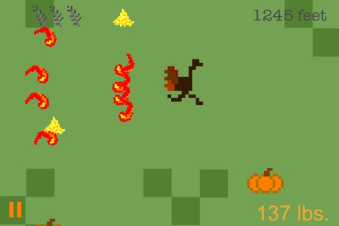 Turkey Chase - A Thanksgiving Fun Run screenshot 3