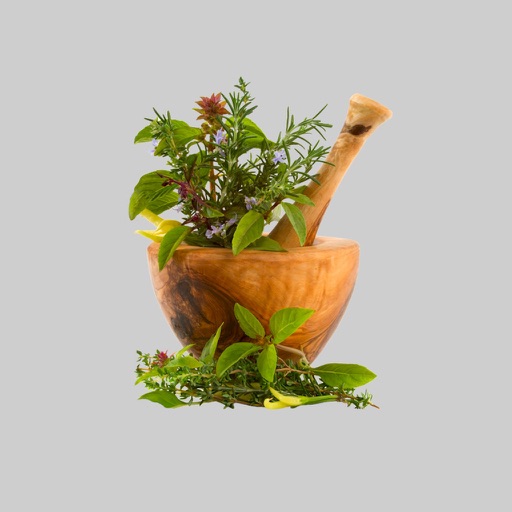 موسوعة الاعشاب الطبية herbs dictionary icon