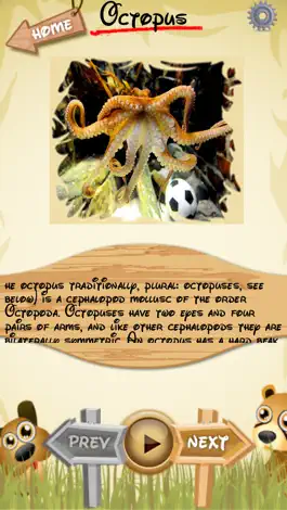 Game screenshot Letz Learn Animals apk