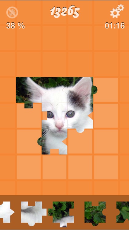 Jigsaw Puzzle: Cat and Dog