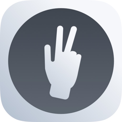 Gestures And Customs icon