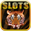 Amazing Safari Slots