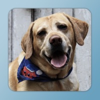 des sons d'animaux et des photos pour les enfants et les bébés - Apprendre les sons d'animaux avec jeu de mémoire pour PC