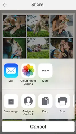 Game screenshot Photo Filter Studio apk