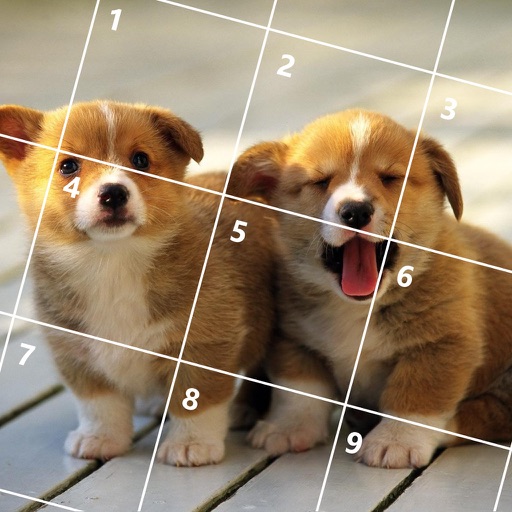 Cute Dogs Jigsaw Puzzles iOS App