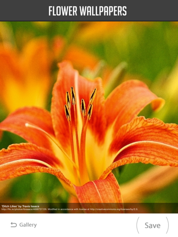 Screenshot #6 pour Flower Wallpaper
