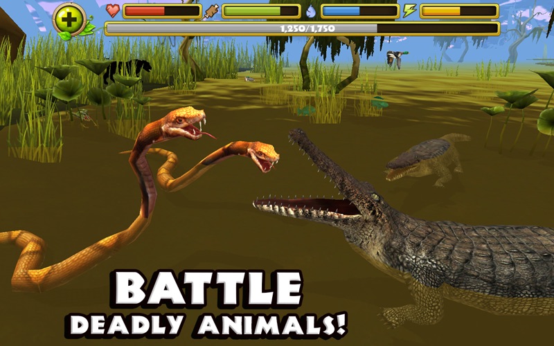 Screenshot #2 pour Wildlife Simulator: Crocodile