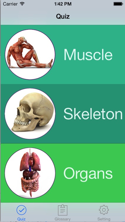 Anatomy, Physiology Quiz and Glossary for iPhone